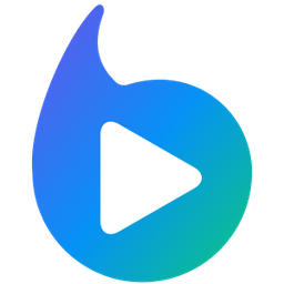 BRAIV logo