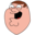 CanYouExplainTheJoke logo