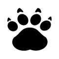 Cheeta logo