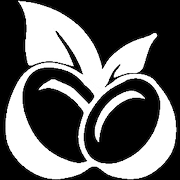 Coco AI logo