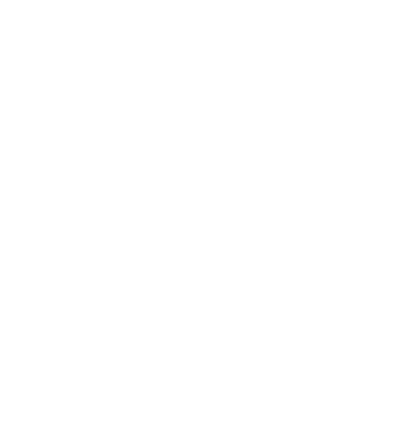 Echo AI logo