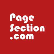 AI page translator logo