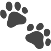 Pet Lens AI logo