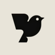 robinai.com logo