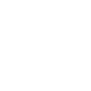 Sandra AI logo