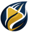 seeddance.video logo