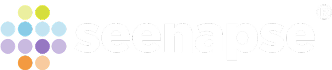 Seenapse logo