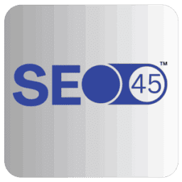 SEO45™ AI logo