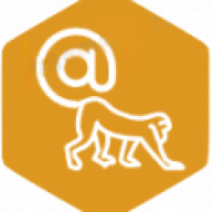 SummyMonkey logo