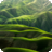 Drawerrr logo