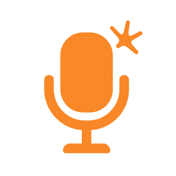 VoiSpark logo