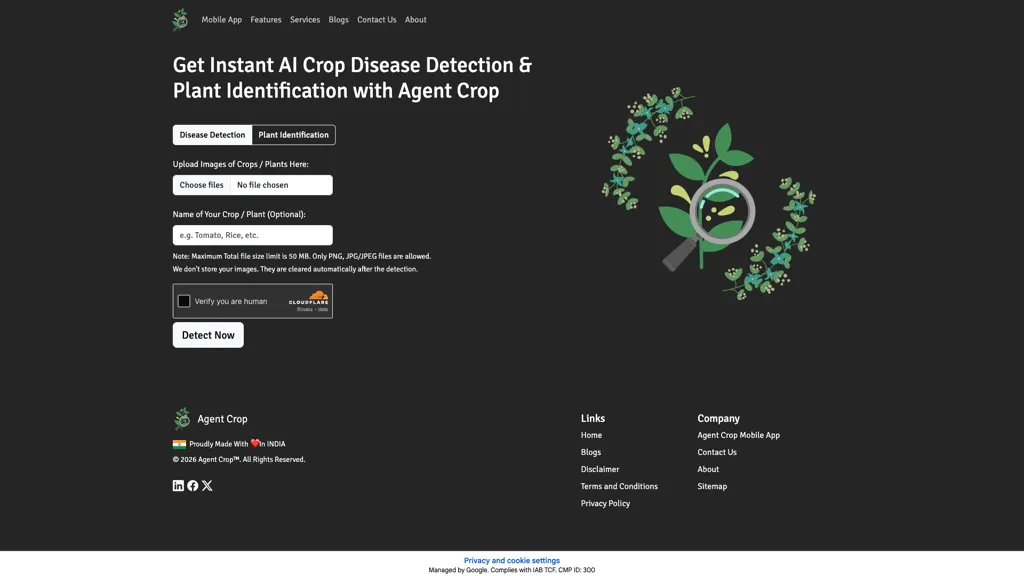 Agent Crop 工具截图