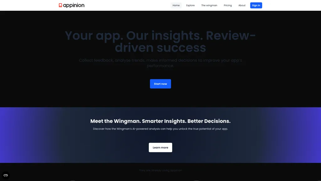 Appinion 工具截图