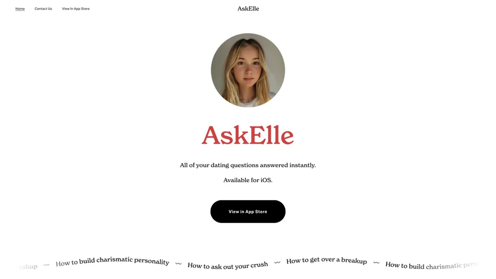 Ask Elle 工具截图