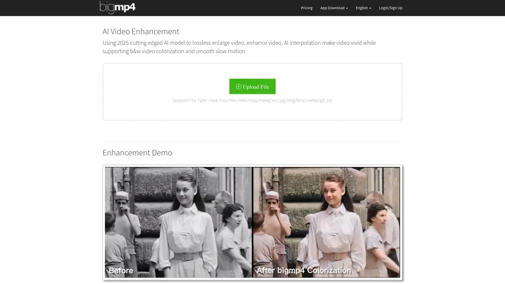 bigmp4 官网截图