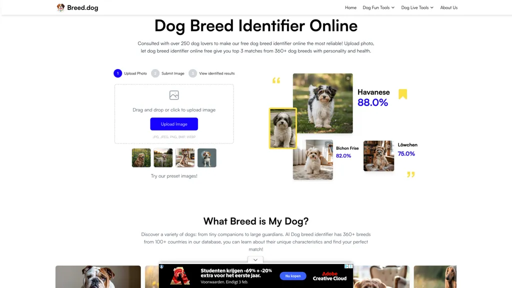 Breed.dog 工具截图
