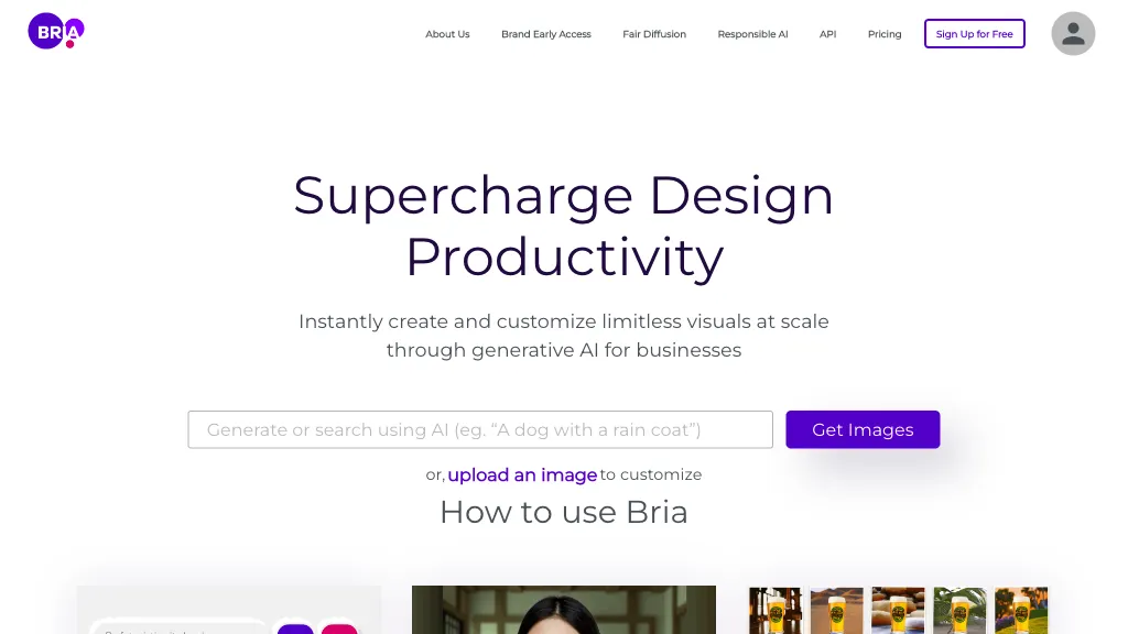 Bria 工具截图
