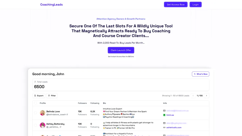 coachingleads.io 工具截图