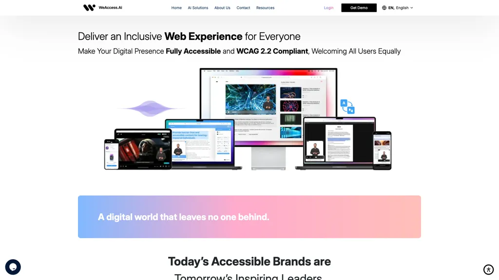 Digital Accessibility Solutions 工具截图