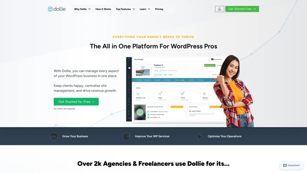 Dollie 工具截图