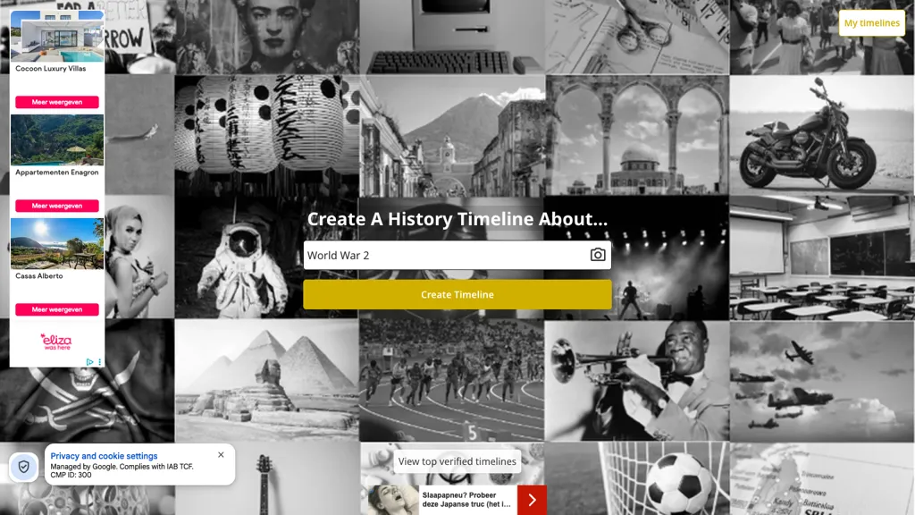 History Timelines 官网截图