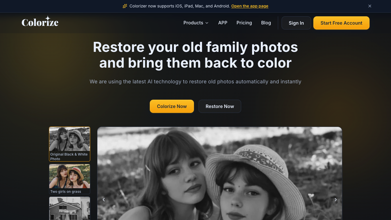 Image Colorizer 工具截图