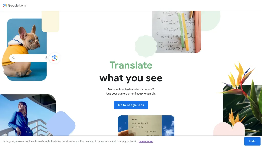 lens.google 工具截图