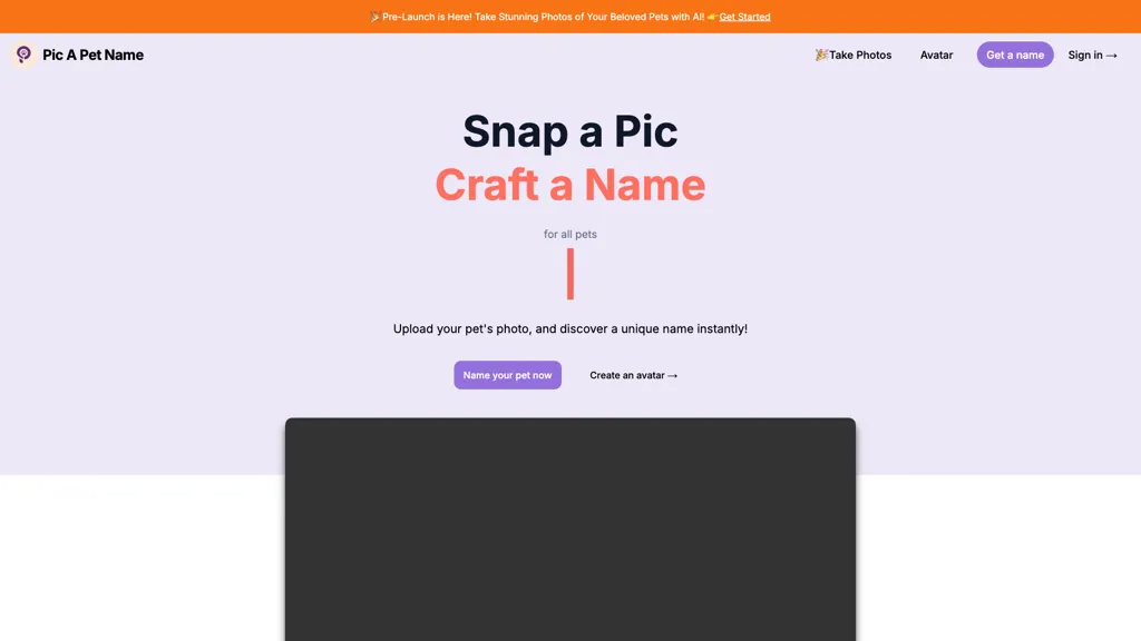 Pic A Pet Name 工具截图