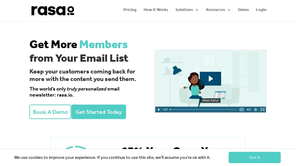 Rasa.io 工具截图