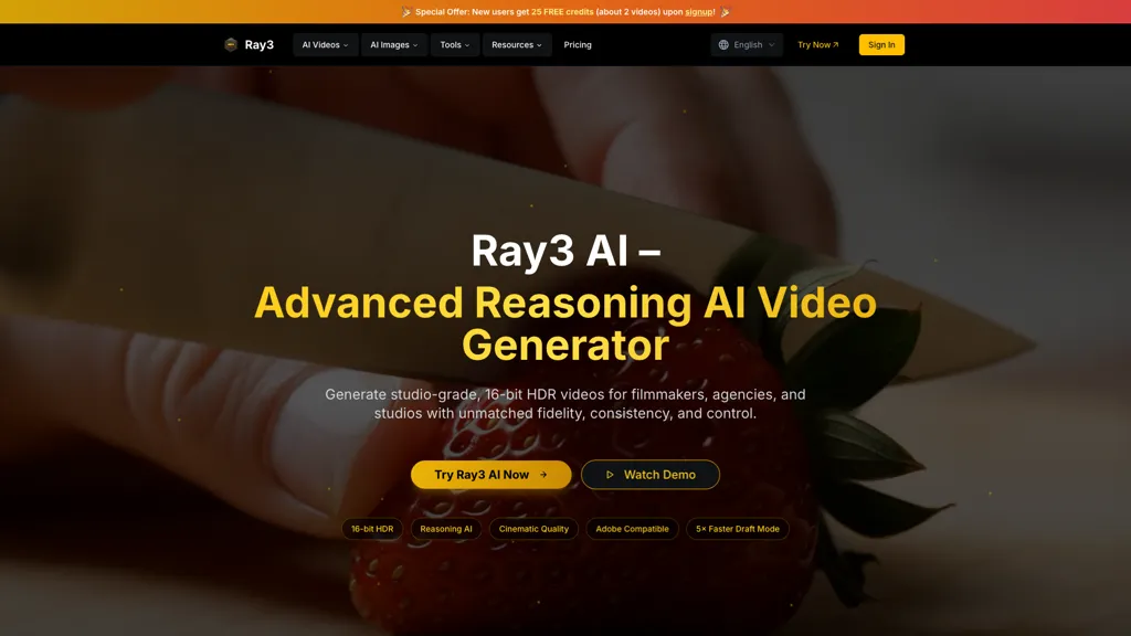 Ray3 工具截图