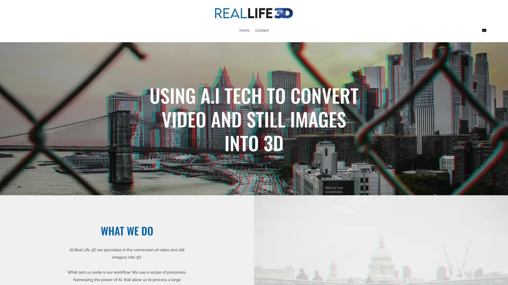 Reallife3d 官网截图