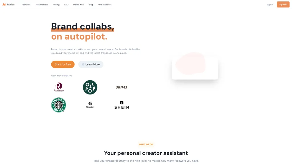 Rodeo 工具截图