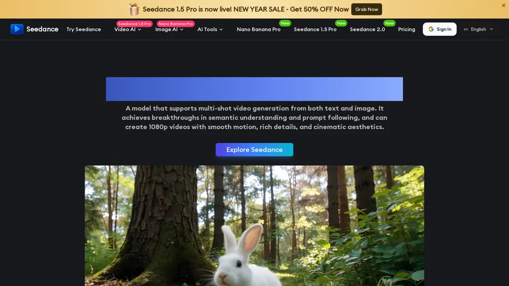 Seedance.io 官网截图