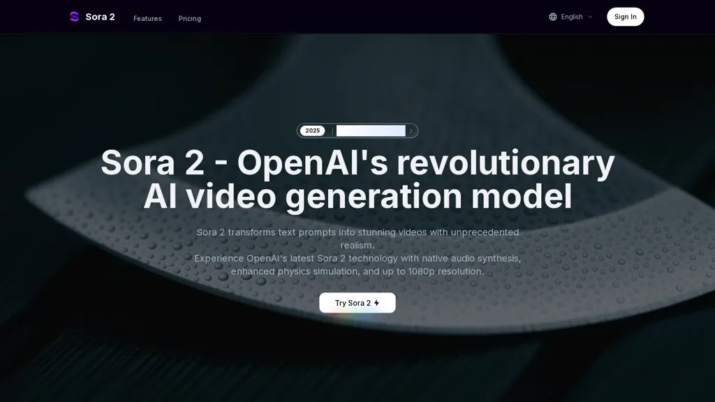 Sora2.co 工具截图