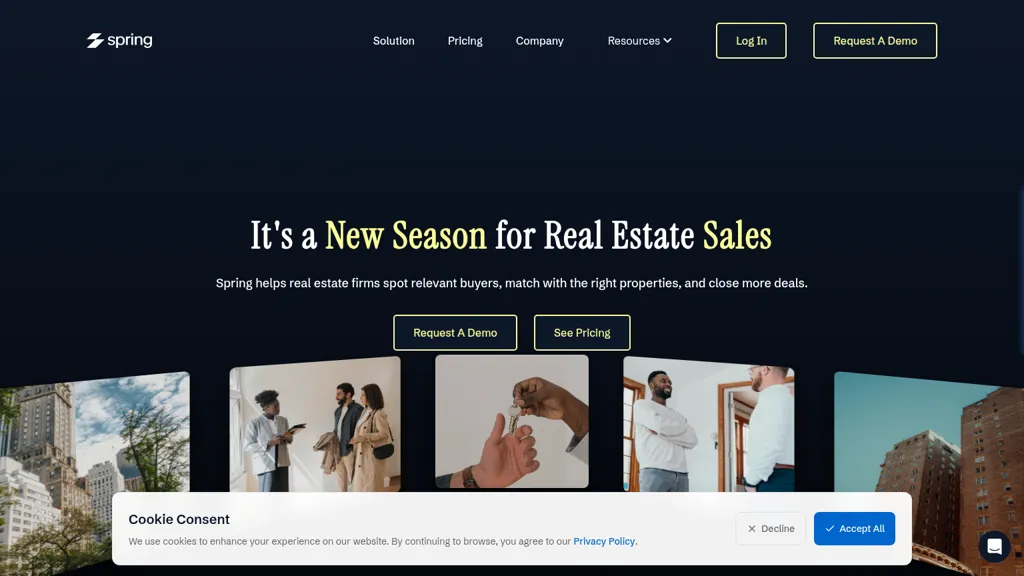 springreal.com 工具截图