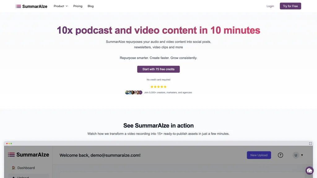 SummarAIze 工具截图