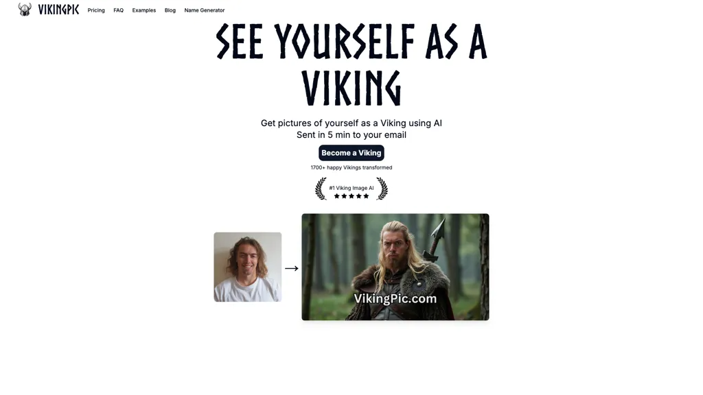 VikingPic 工具截图