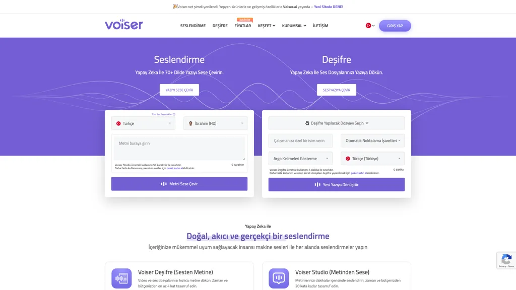 Voiser 工具截图