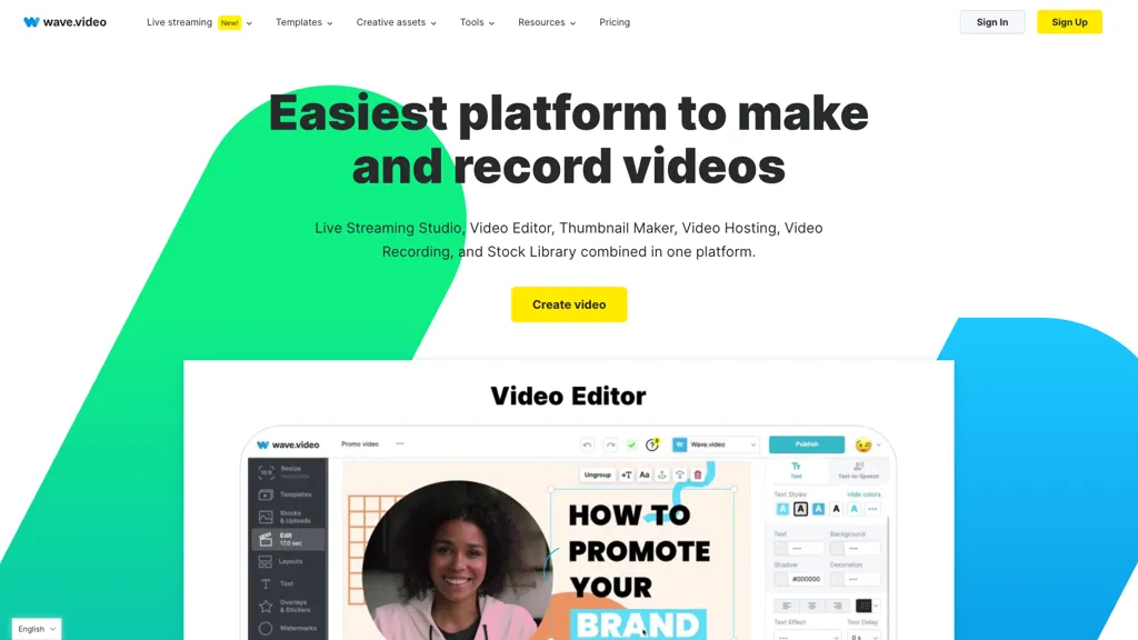 Wave.Video 官网截图