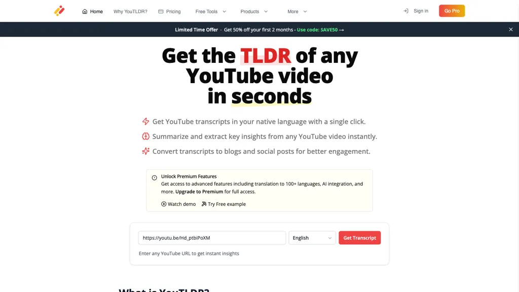 You-tldr 工具截图